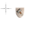 Busy cursor