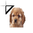 Cockerspaniel cursor