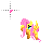 Busy cursor