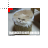Trash Cat Lolcat cursor