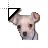 Chihuahua cursor