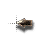 Move cursor