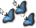 Caribbean Cursors preview