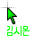 Kim Sion Japan cursor