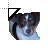 Rat Terrier cursor