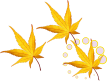 Raptor Cursors preview