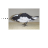 Horizontal resize cursor