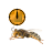 Busy cursor