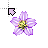 Busy cursor