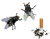 Mouse Lovers Cursors preview