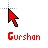 Gurshan cursor
