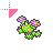 maractus cursor