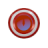 Busy cursor