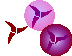 Klingon Cursors cursor preview