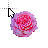 Pink Rose 3 cursor
