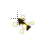 cursorgoldtemp1&2 cursor