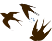 brown swallows Cursors preview