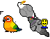 Bird Is The Word Cursors preview