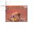 0meterdash cursor