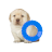 Quieres cursor