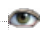Busy cursor