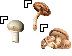 Mushroom Cursors cursor preview