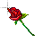 test_rose cursor