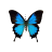 Butterfly cursor