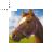 Horses Cursors preview