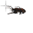 Apothican Servant cursor