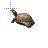 Turtle cursor