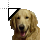 Golden Retriever cursor