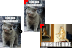 Lolcat Cursors!!! Cursors cursor preview