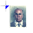 Steiner Intel cursor