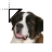 Saint Bernard cursor
