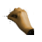 Vertical resize cursor