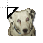 Dalmation cursor