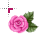Rosa Pink Rose Cursors preview