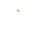 Busy cursor