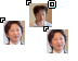 araki Cursors cursor preview