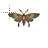Normal select cursor
