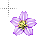 Busy cursor