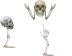 Welcome to the bone zone Cursors preview
