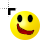 Wink- o_~ cursor