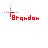 Brandon cursor