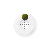 Busy cursor