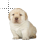 Quieres cursor