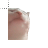 catJAM cursor