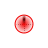 Busy cursor
