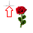 Rose_alt cursor